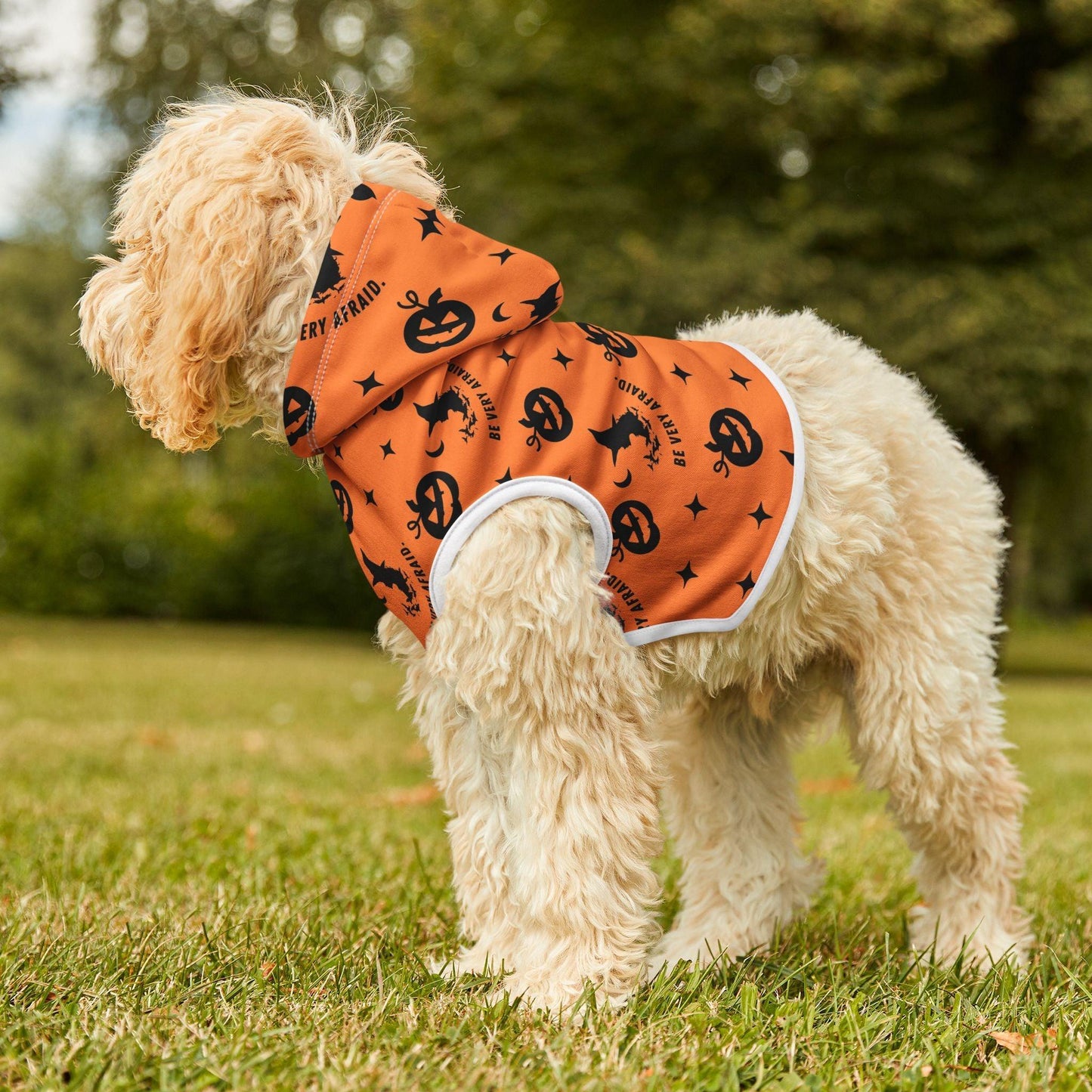 Orange Halloween Pet Hoodie - Cosmic Creations by Karen