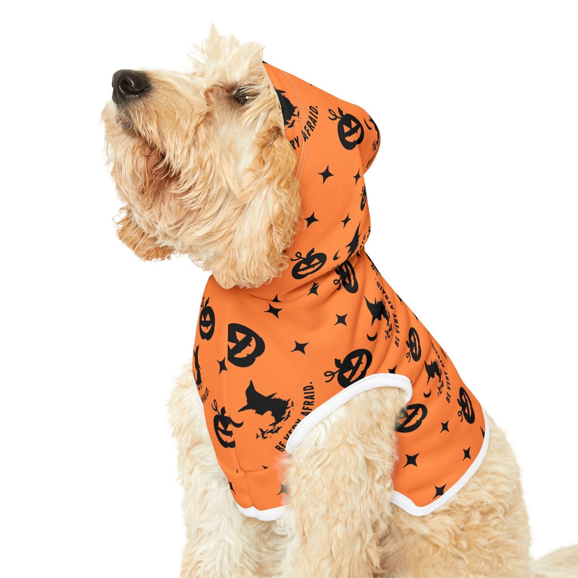 Orange Halloween Pet Hoodie - Cosmic Creations by Karen