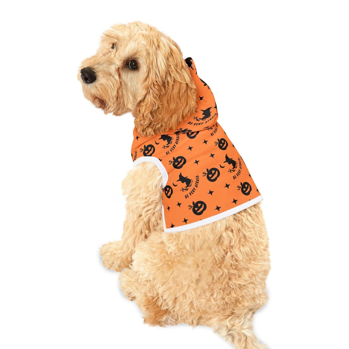 Orange Halloween Pet Hoodie - Cosmic Creations by Karen