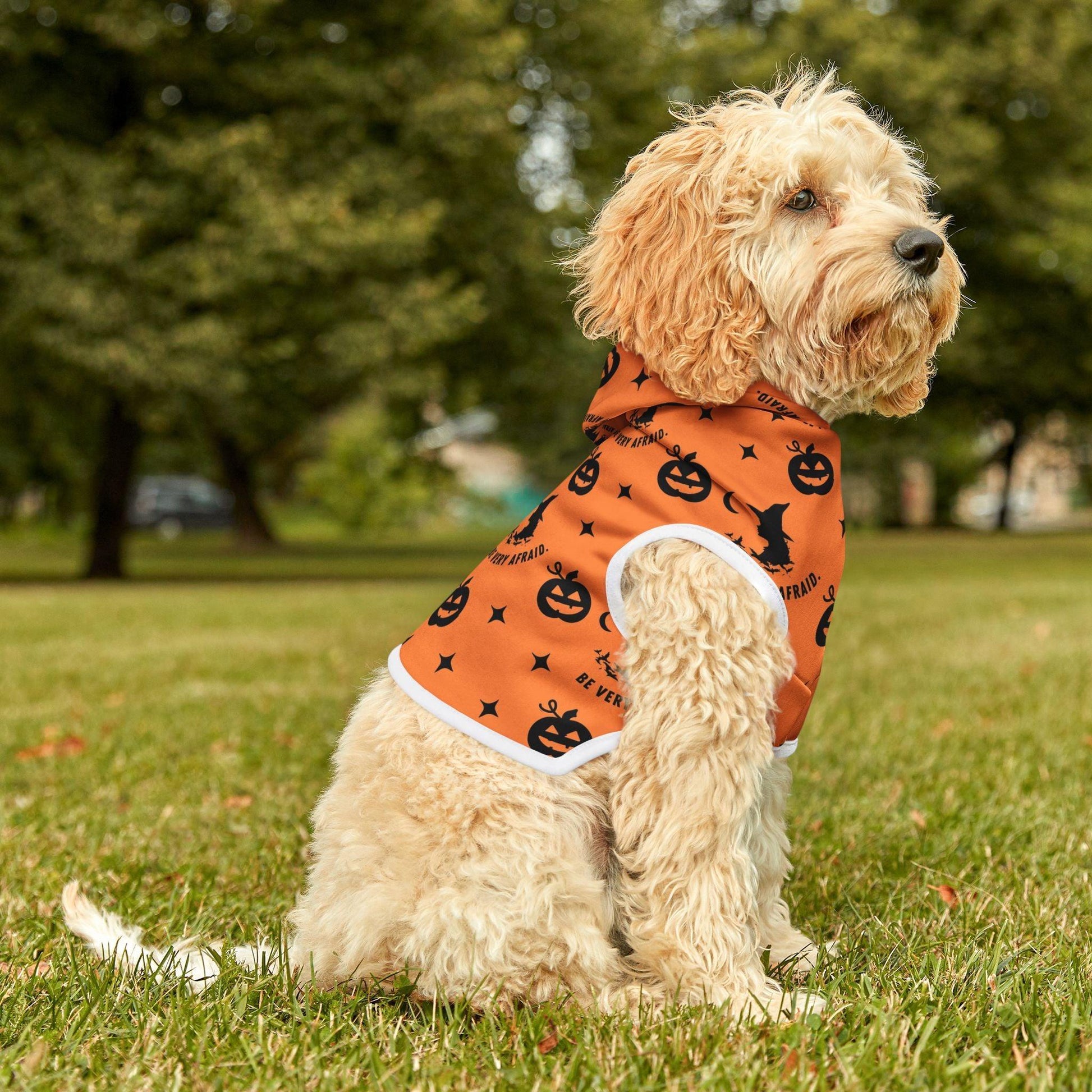 Orange Halloween Pet Hoodie - Cosmic Creations by Karen