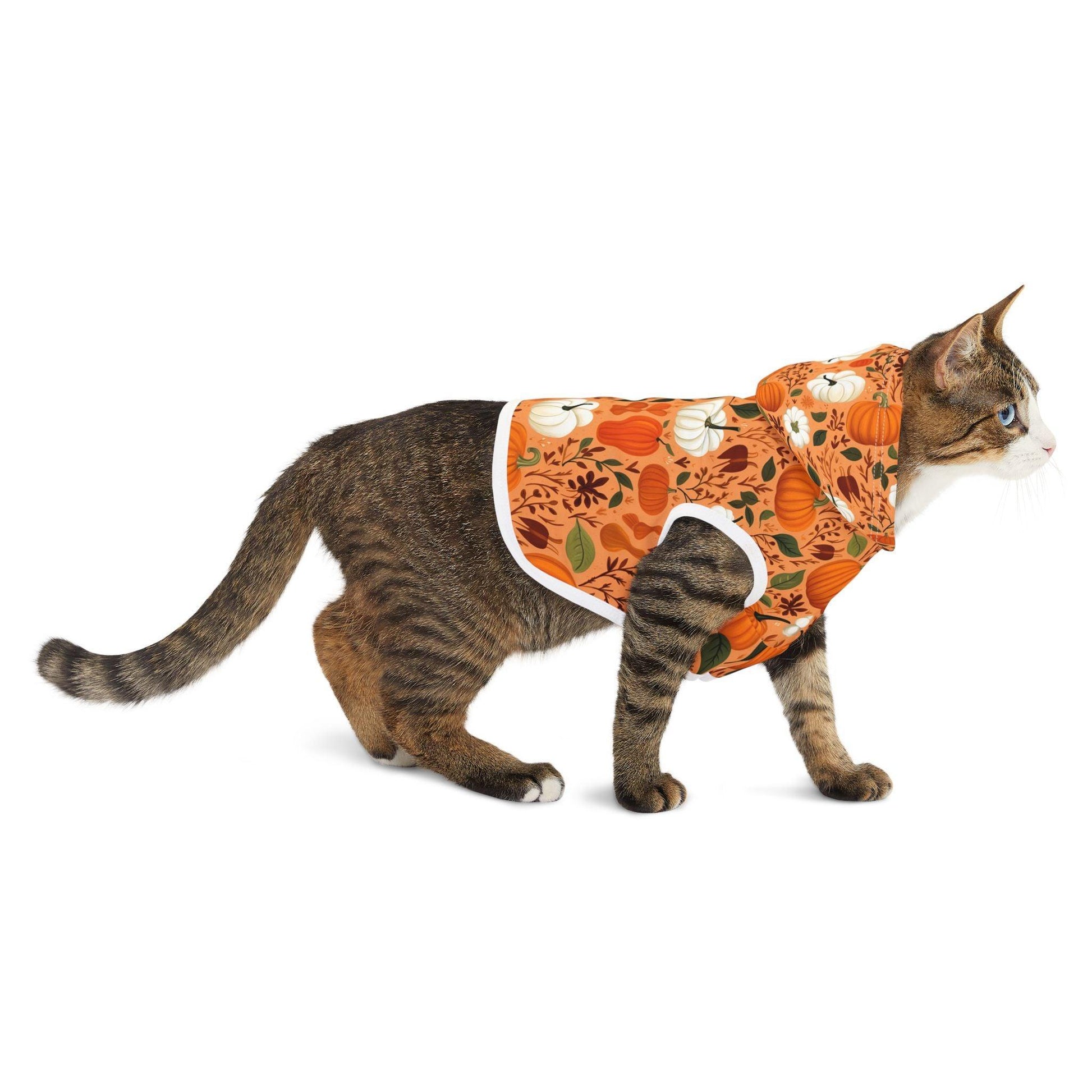 Fall Pumpkins Pet Hoodie - Cosmic Creations by Karen