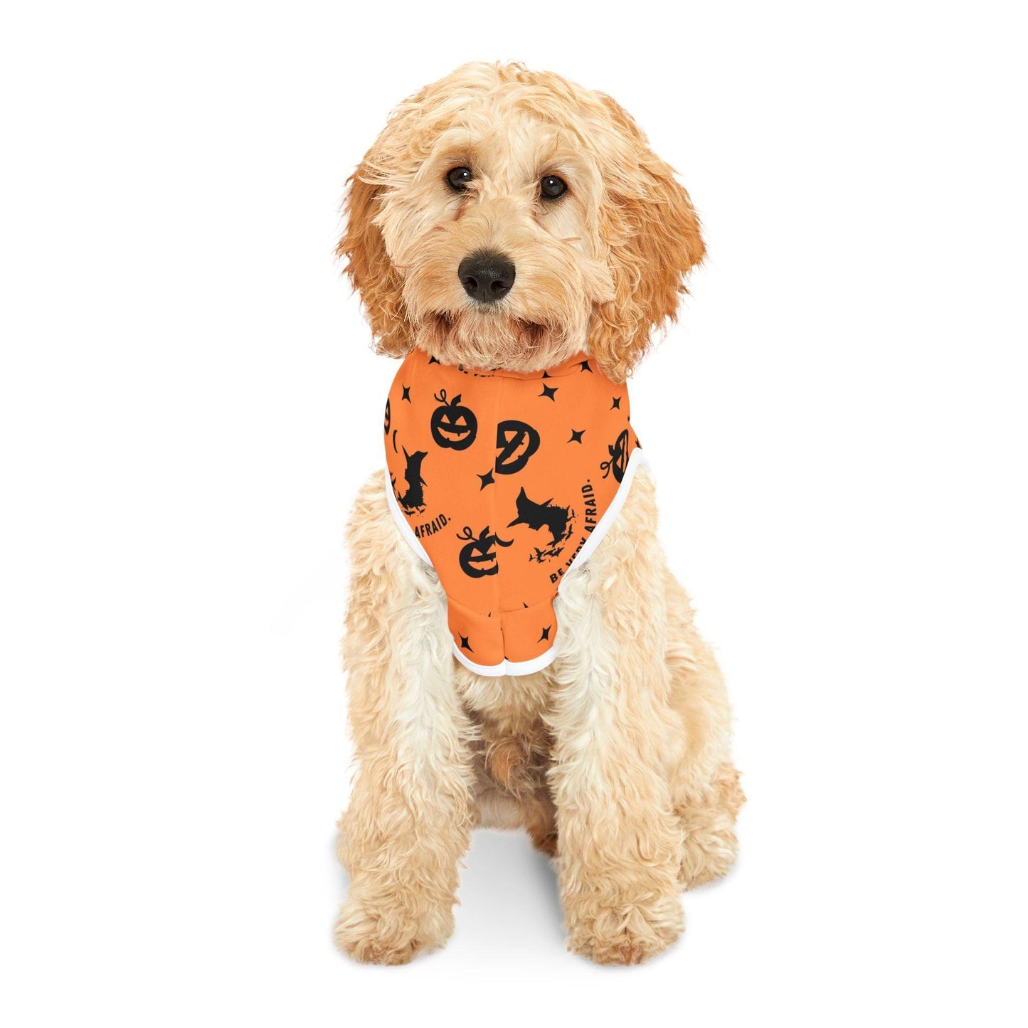 Orange Halloween Pet Hoodie - Cosmic Creations by Karen